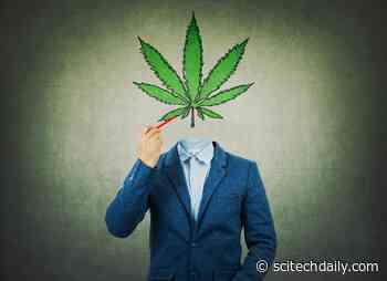 Marijuana for Medical Use May Result in Rapid Onset of Addiction