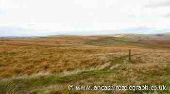 Rossendale: Large wildfire breaks out on Shawforth Moor, near Bacup