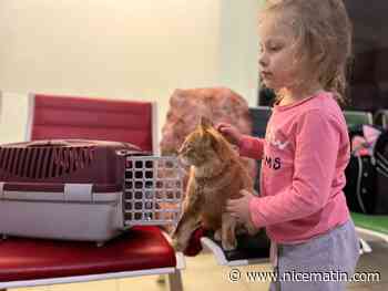 148 réfugiés sauvés de l'enfer ukrainien grâce à une mission humanitaire express du Département des Alpes-Maritimes