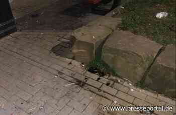 POL-DN: Vandalen im Park