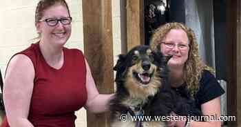 Beloved Family Dog Lost in Georgia Woods Finally Caught after 135 Days on the Run