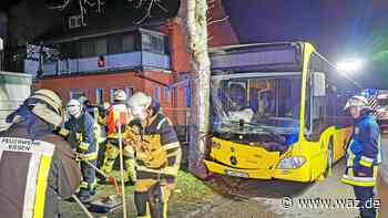 Linienbus kracht in Essen gegen Baum – Zwei Verletzte - WAZ News