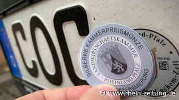Kammerpreismünze klebt auf Kennzeichen: Urkundenfälschung oder eine List? - Rhein-Zeitung