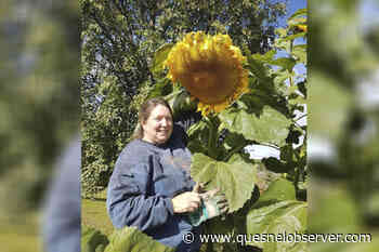 Fort St. James artists support Ukrainians through artwork fundraiser – Quesnel Cariboo Observer - Quesnel - Cariboo Observer