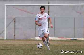 Pagelle Carpi: Calanca insuperabile - Voce.it