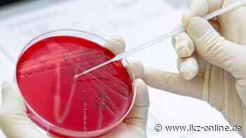 Corona in Iserlohn & Hemer: Frau (67) aus Iserlohn gestorben - IKZ News