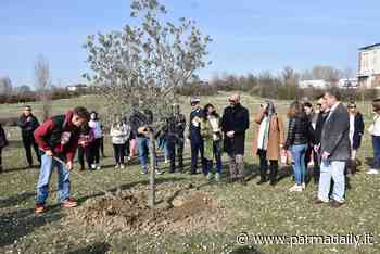 Inaugurato il Bosco Urbano di Parma Mia - - ParmaDaily.it