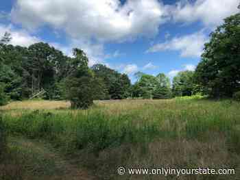 3 Scenic Hiking Trails Surround The Small Town Of Coventry, Rhode Island - Only In Your State