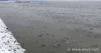 Federal funds will slow sewage discharges into Lake St. Clair but critics say it’s only a Band-Aid - WXYZ 7 Action News Detroit