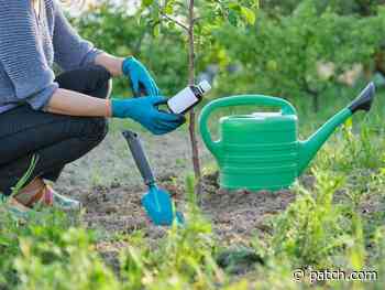 Frost Danger Passes In St. Clair Shores, Making Gardening Safe - Patch