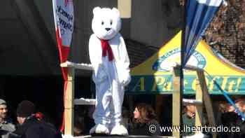 St. Clair College 'Polar Plunge' gets participants out in the snow - AM800 (iHeartRadio)