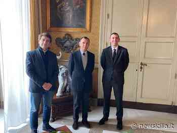 Catania, incontro tra Wizz Air e amministrazione comunale: nuove destinazioni e voli in arrivo - NewSicilia