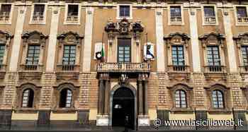 Nuovi tecnici al Comune di Catania: le graduatorie - lasiciliaweb | Notizie di Sicilia