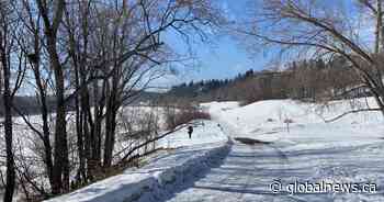 Snowfall warning issued for Edmonton, eastern surrounding areas