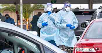 Drop in COVID-19 cases, deaths in NSW and Victoria - 9News