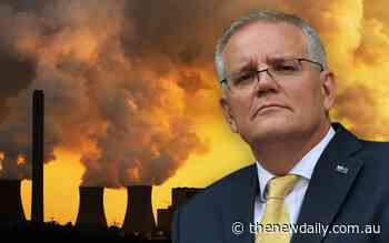 Michael Pascoe: Scott Morrison set precedent for carbon levy - The New Daily