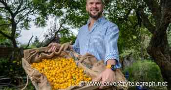 Champion veg grower out to beat Coventry man's world record - Coventry Live