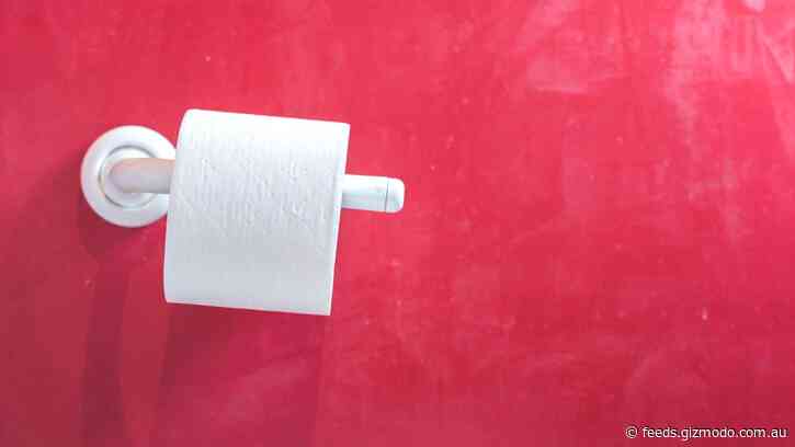Can a Poo Transplant a Day Really Keep the Doctor Away?
