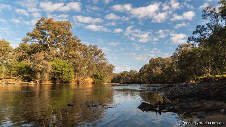 Thanks to Heavy Rain, Australia’s Environment Scores a 7 Out of 10 – But the Future Remains Bleak