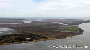 Officials say $500M in infrastructure projects are needed for Jasper port. What’s the hold up? - Hilton Head Island Packet