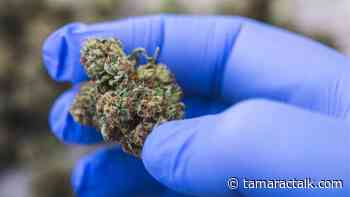 New Medical Marijuana Dispensary Opens In Tamarac • Tamarac Talk - Tamarac Talk