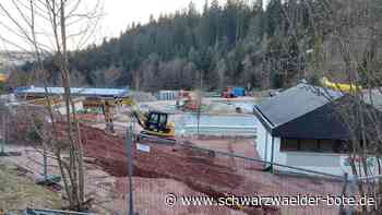 Wert- statt Mehrfachkarten - Stadtwerke Schramberg sehen Vorteile im Verbund Hallen- und Freibad - Schwarzwälder Bote
