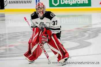 Eve Gascon to become third female goaltender to play in QMJHL - Dawson Creek Mirror