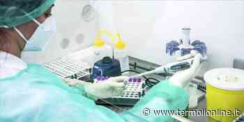 Termoli, Isernia, Campobasso: Covid: nel Molise 383 contagi e 36 guariti - Termoli Online