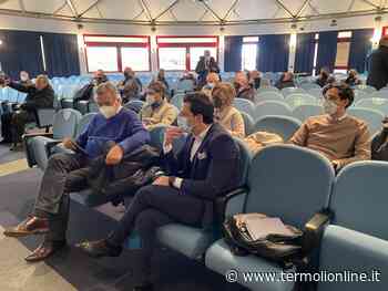 «Non sono i decreti, ma la mancanza di programmazione a minare la sanità» - Termoli Online