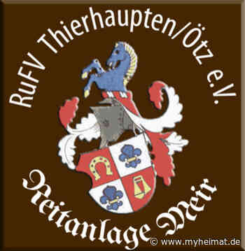 Näher am richtigen Longieren - Meitingen - myheimat.de