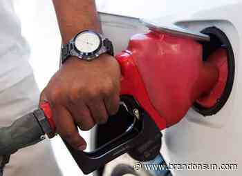 Gas theft trend not a problem in Westman yet - The Brandon Sun