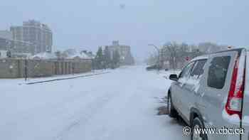 Brandon crews removed nearly 60K tonnes of snow off streets this winter, official says - CBC.ca