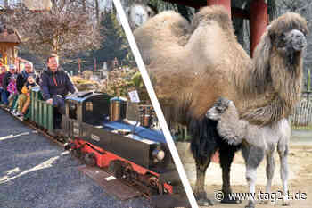 Ordentlich was los: 10 Tipps fürs Wochenende in Dresden und Umgebung - TAG24