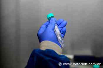 Coronavirus en Argentina: casos en Saavedra, Buenos Aires al 19 de marzo - LA NACION