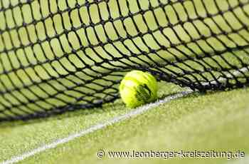 Bahnlinie bei Renningen - Elfjähriger wirft Tennisball auf Zug - Leonberger Kreiszeitung