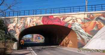 Graffitikunstwerk op spoorwegbrug in Eppegem officieel ingehuldigd: “Smaakt naar meer” - Het Laatste Nieuws