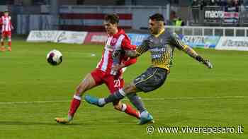 Vis sconfitta al Benelli, tris del Modena - Vivere Pesaro