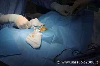 Al Policlinico di Modena, riparazione di una fistola bronco-pleurica con impianto di tessuto adiposo - sassuolo2000.it - SASSUOLO NOTIZIE - SASSUOLO 2000