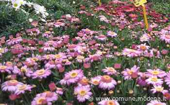 Modena in Fiore - Comune di Modena