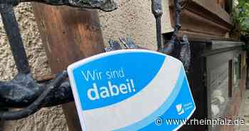 Glasfaser-Ausbau: Schnelles Internet lässt auf sich warten - Rheinpfalz.de