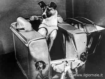 Lo Sputnik 2 e quei quattro giorni di Laika: così morì nello spazio