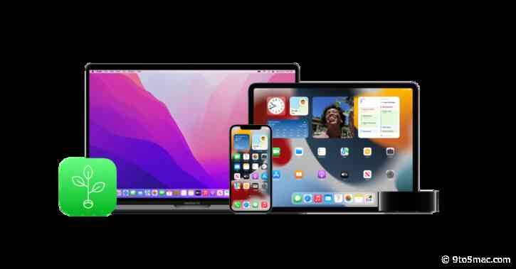 Apple @ Work: The AppleSeed for IT program is essential for success with major macOS releases