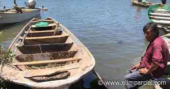Huatabampo: Pescadores esperan las pulseras “espanta tiburones” - EL IMPARCIAL Sonora