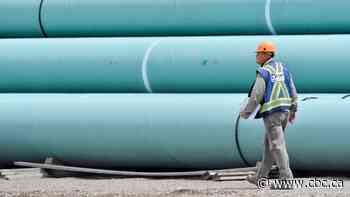 Trans Mountain blames massive spike in project cost on natural disasters, debt costs — and frogs