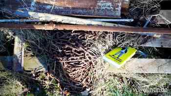 Buch "Nullerjahre" erzählt von Nachwendejugend in Stralsund - NDR.de