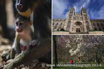UK's top 10 most-visited attractions revealed