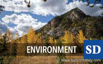 Volunteers needed to work in the Dillon Ranger District's visitor center in Silverthorne - Summit Daily