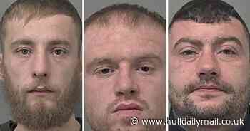 Abusive boyfriends and serial sex offenders among those banged up in Hull this week - Hull Live