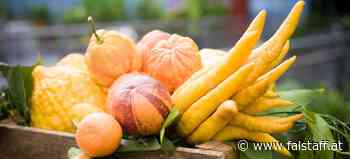 Buchtipp: Die Sonne Italiens für die eigene Küche