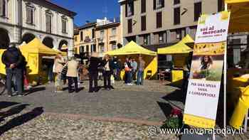 Trecate, torna l'appuntamento con l'Agrimercato di Campagna Amica | EVENTO SOSPESO - NovaraToday